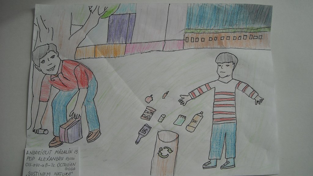 119_Andreicut M-Pop A_SC Goga BM.jpg